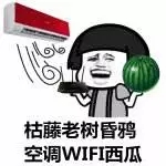 出門被曬化？七條防暑小貼士幫你安然度夏！-晟皋電氣